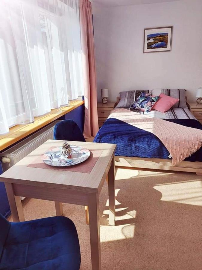 Pokoje Goscinne "Trudzin-Ski" Swieradow-Zdroj Exterior photo