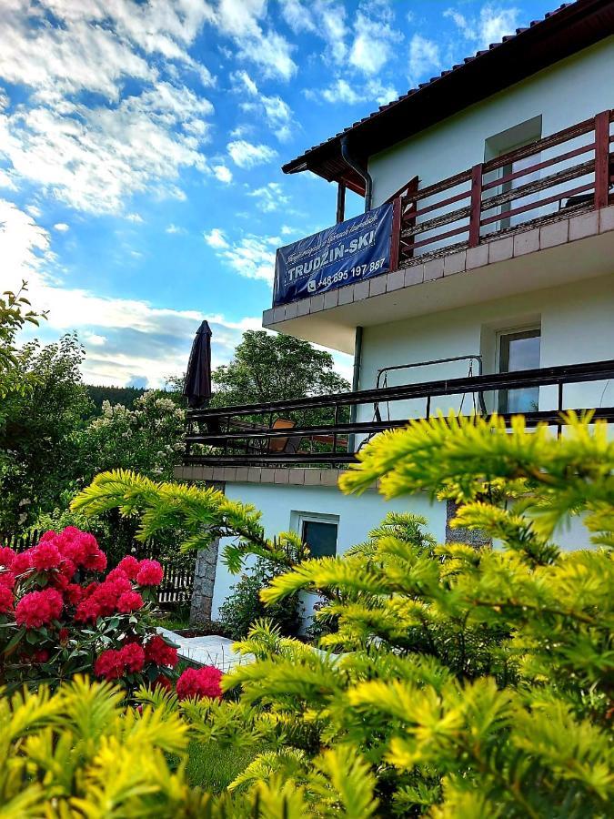 Pokoje Goscinne "Trudzin-Ski" Swieradow-Zdroj Exterior photo